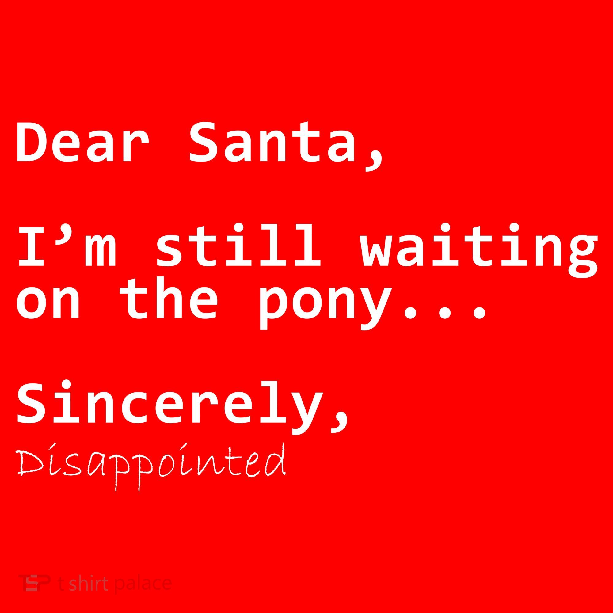 Dear Santa I'm Sincerely Disappointed No Pony Women's Tank Top