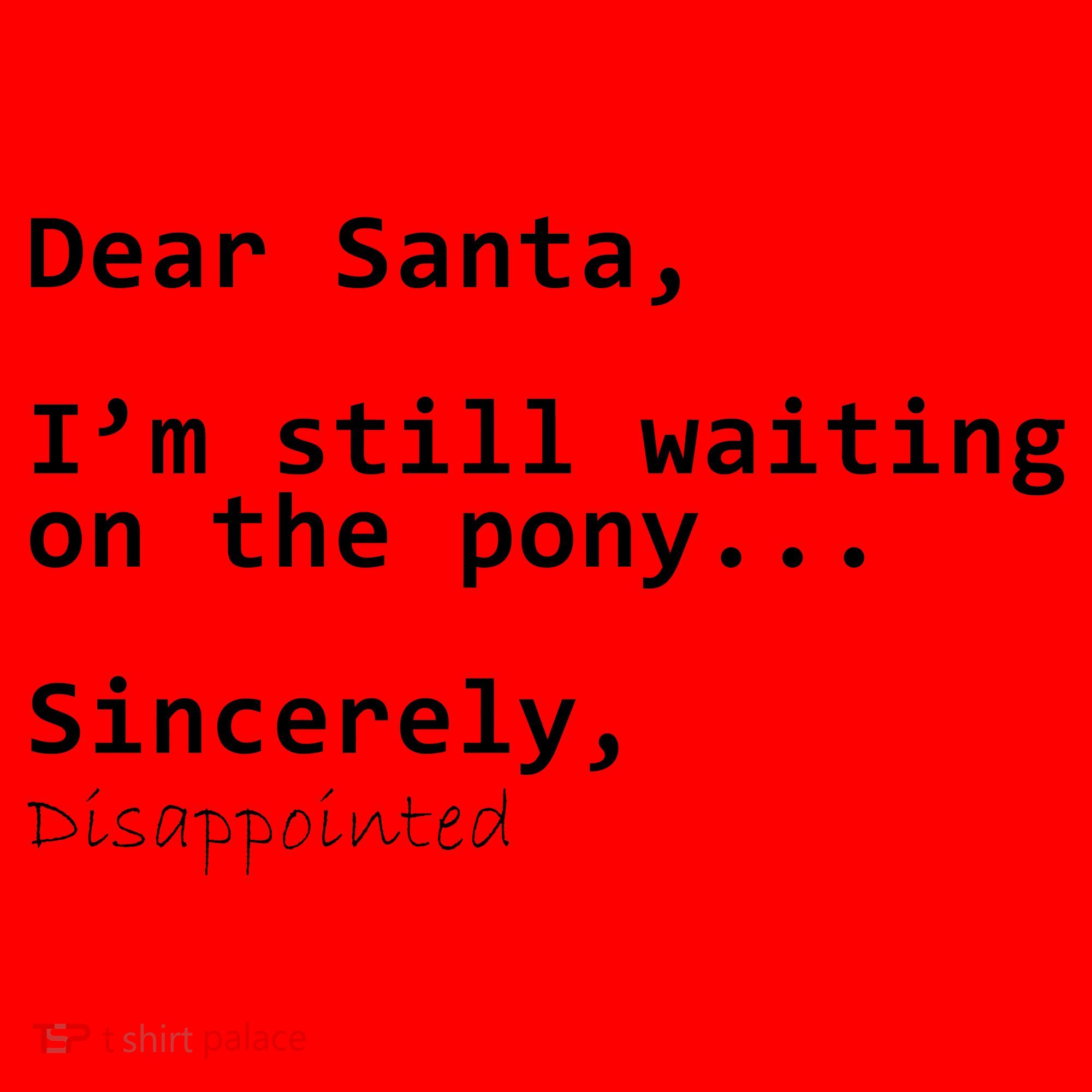 Dear Santa I'm Sincerely Disappointed No Pony Santa Hat