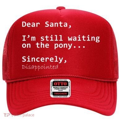 Dear Santa I'm Sincerely Disappointed No Pony Hat