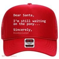 Dear Santa I'm Sincerely Disappointed No Pony Hat thumb 0