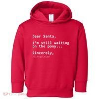 Dear Santa I'm Sincerely Disappointed No Pony Toddler Hoodie thumb 0