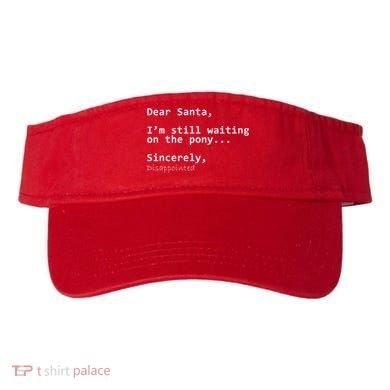 Dear Santa I'm Sincerely Disappointed No Pony Visor