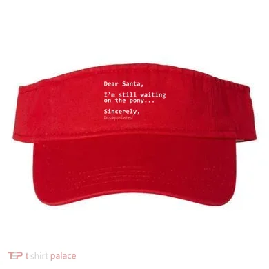 Visor