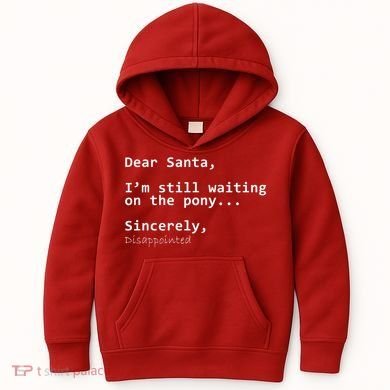 Dear Santa I'm Sincerely Disappointed No Pony Kids Hoodie