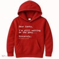 Dear Santa I'm Sincerely Disappointed No Pony Kids Hoodie thumb 0