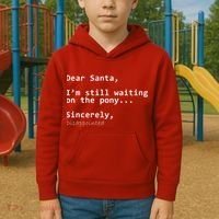 Dear Santa I'm Sincerely Disappointed No Pony Kids Hoodie thumb 2