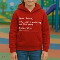 Dear Santa I'm Sincerely Disappointed No Pony Kids Hoodie thumb 3