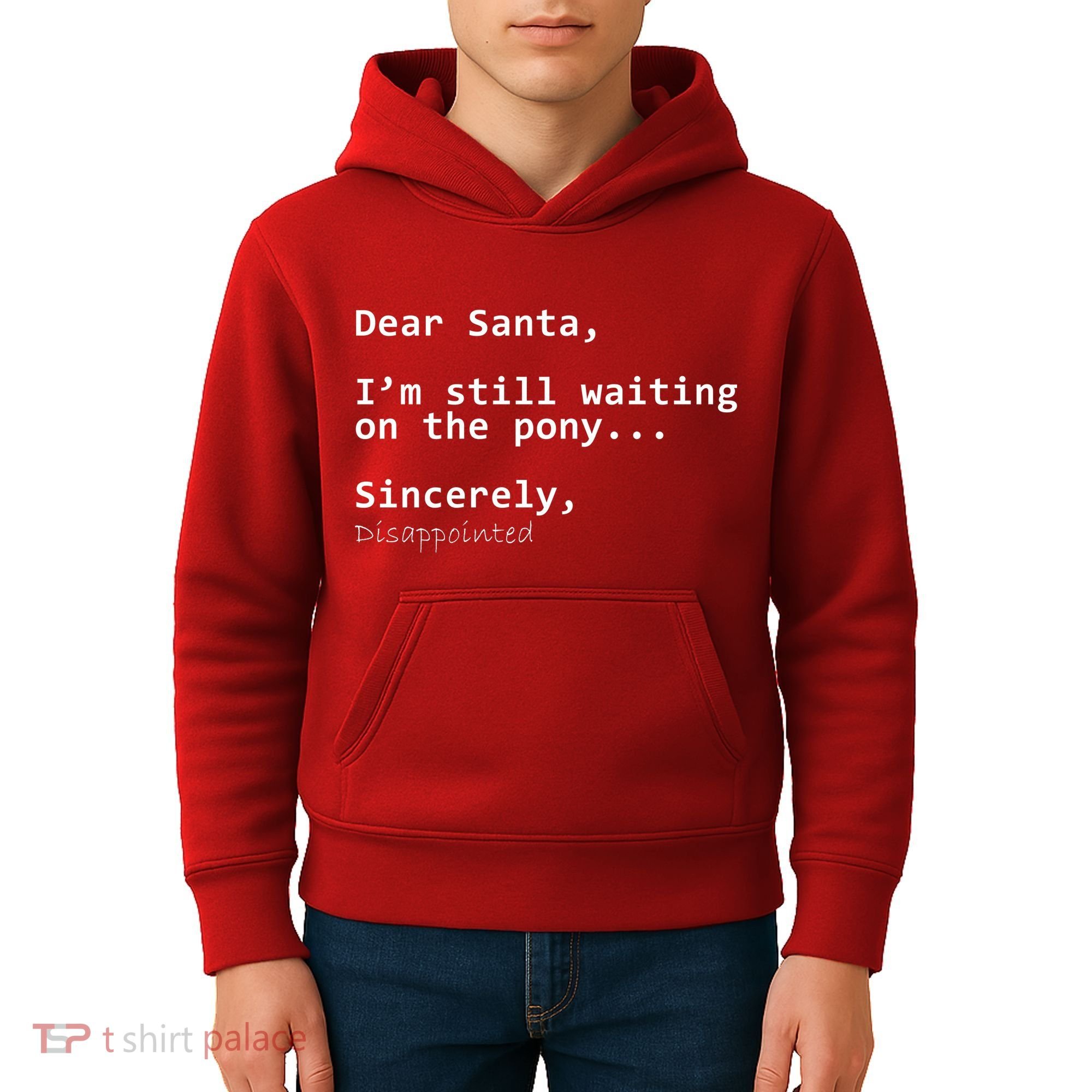 Dear Santa I'm Sincerely Disappointed No Pony Kids Hoodie