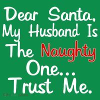 Dear Santa Naughty Husband Toddler Hoodie thumb 2