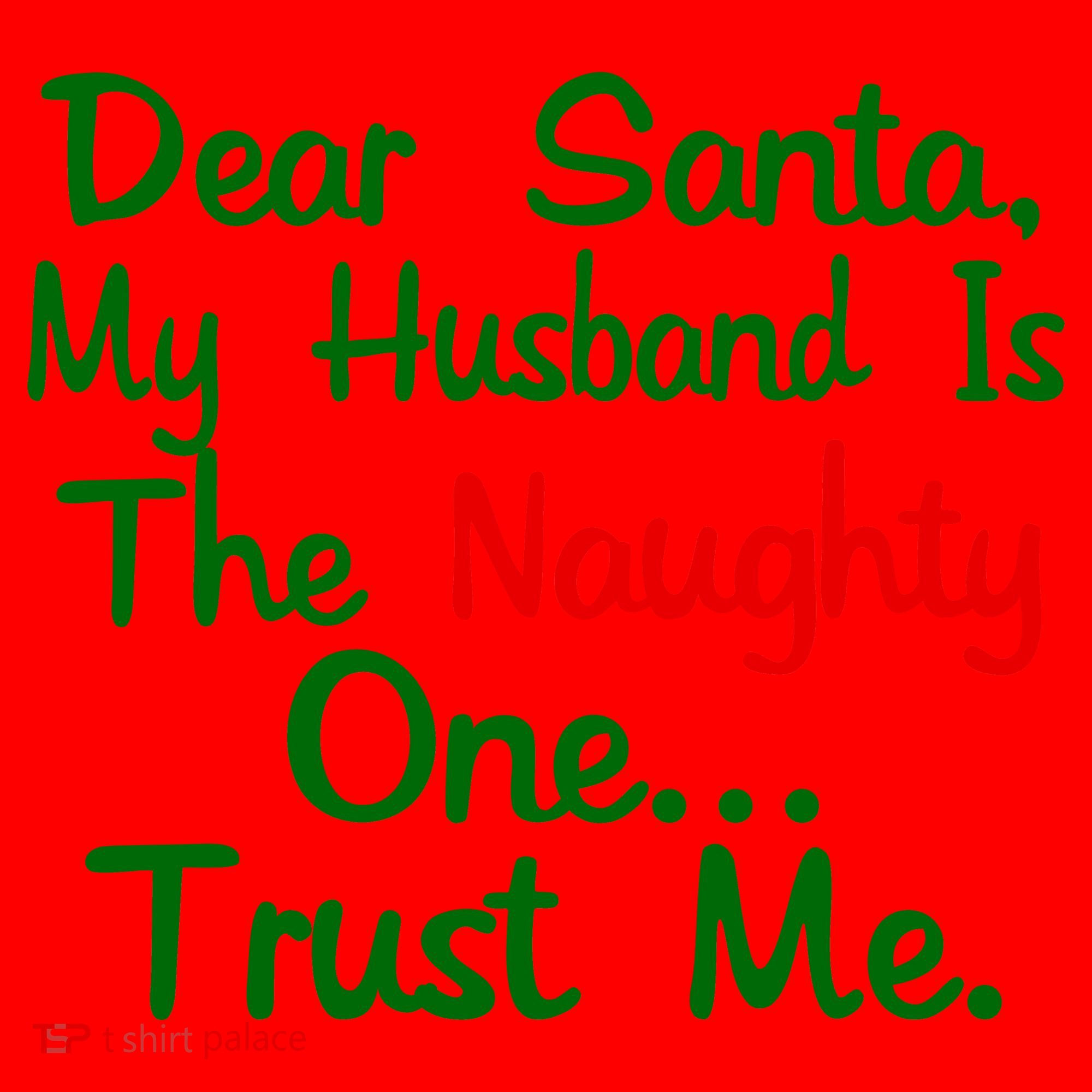 Dear Santa Naughty Husband Santa Hat