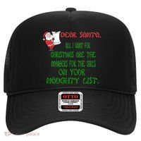 Dear Santa Naughty List Girls Numbers Funny Hat thumb 0