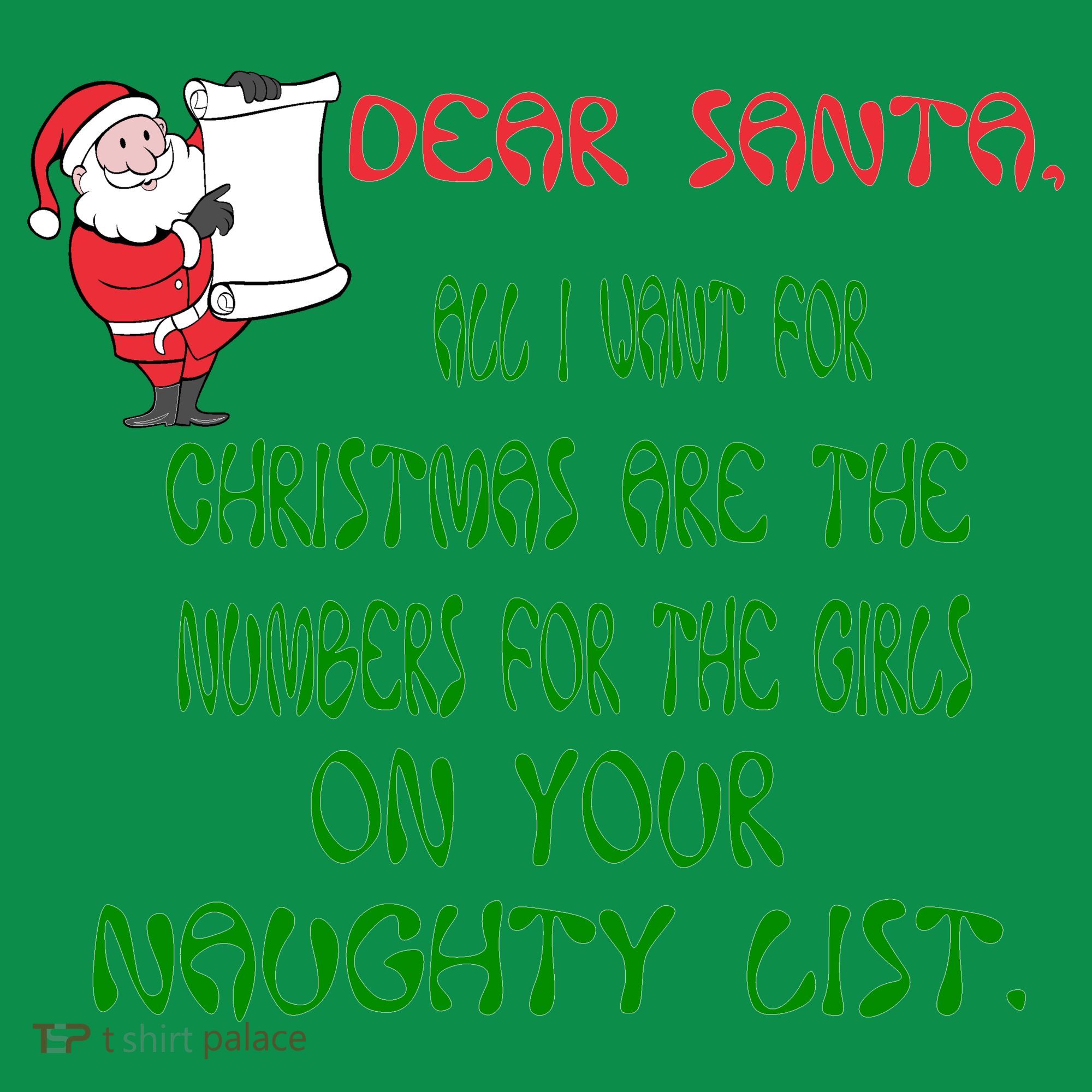 Dear Santa Naughty List Girls Numbers Funny T-Shirt