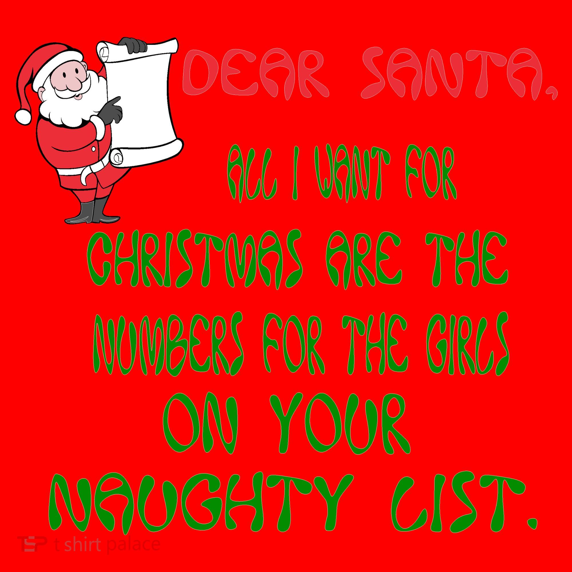 Dear Santa Naughty List Girls Numbers Funny Santa Hat