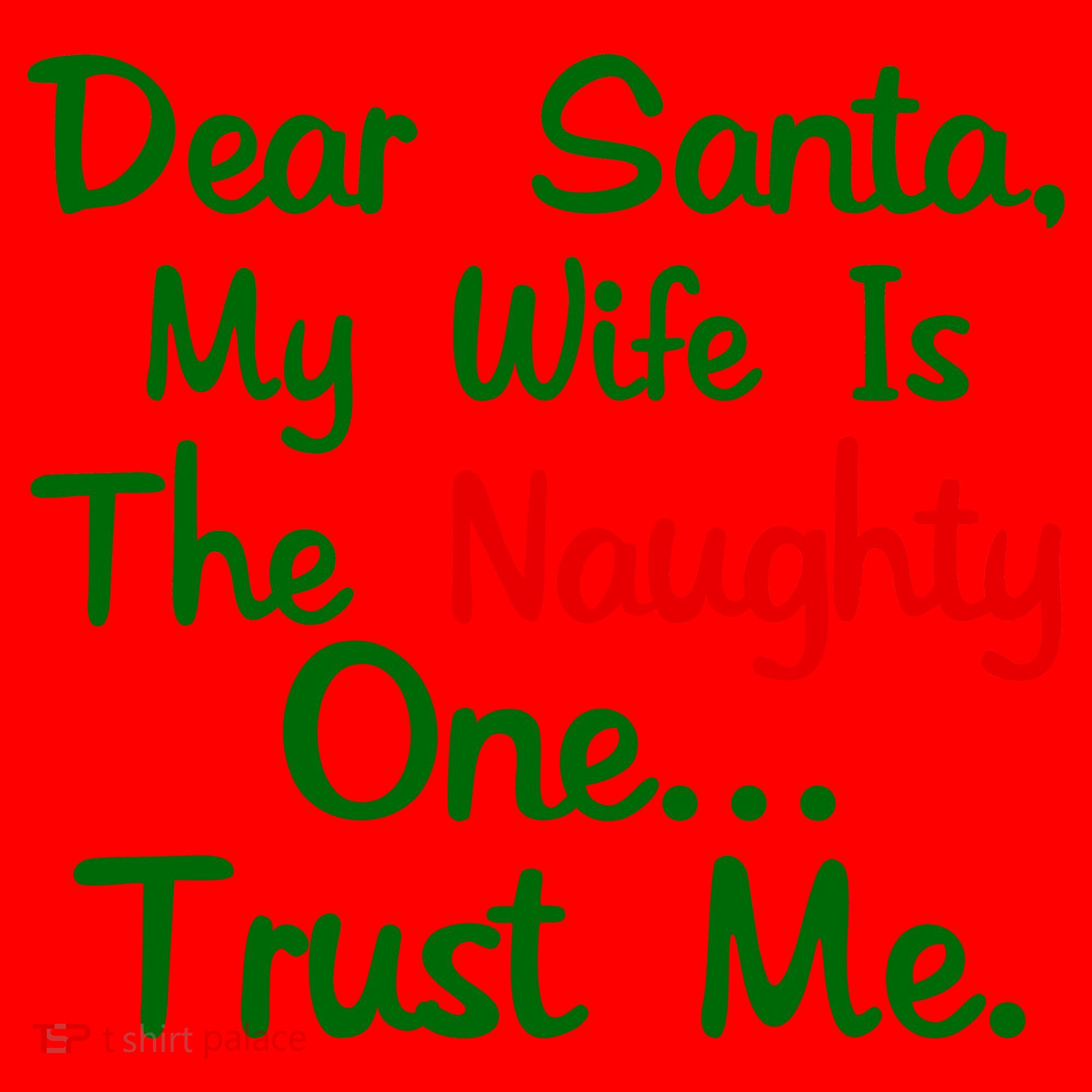 Dear Santa Naughty Wife Santa Hat