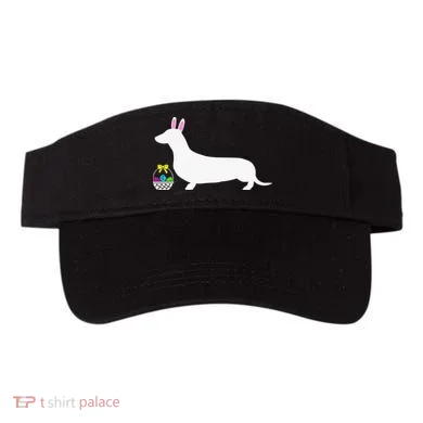 Visor