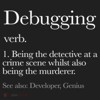Debugging Definition Funny Coding Programming Hat thumb 2