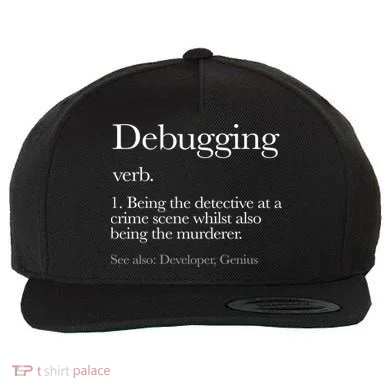 Debugging Definition Funny Coding Programming Wool Snapback Cap