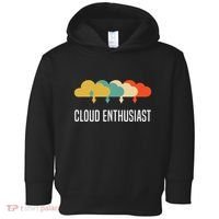 Devops Engineer Cloud Computing Cloud Enthusiast Toddler Hoodie thumb 0