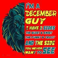December Birthday Guy Has 3 Sides Sweet Funny Crazy  Santa Hat thumb 1