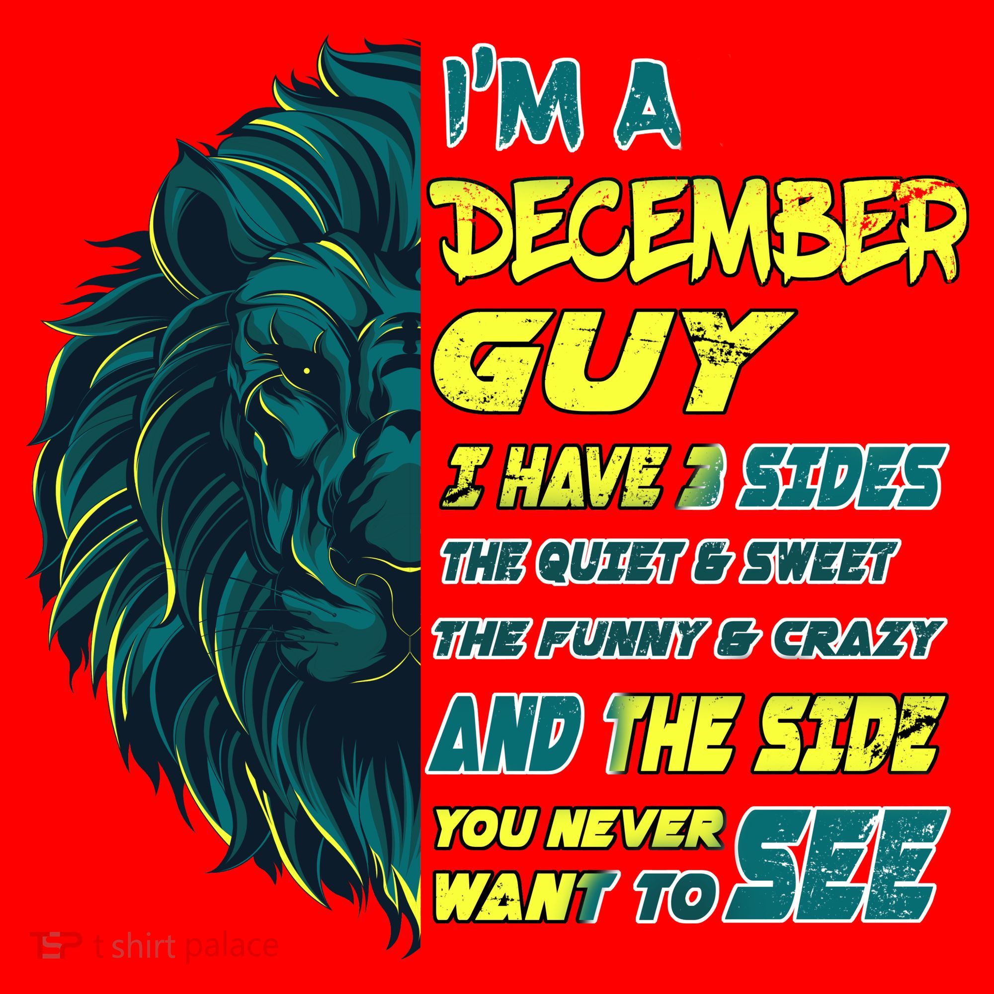 December Birthday Guy Has 3 Sides Sweet Funny Crazy  Santa Hat