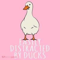 Duck Easily Distracted By Ducks Hoodie thumb 7