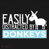 Donkeys Easily Distracted Donkey Gifts For Donkey Lovers Women's Hoodie thumb 2