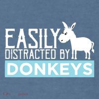 Donkeys Easily Distracted Donkey Gifts For Donkey Lovers Comfort Colors Garment-Dyed Hooded Sweatshirt thumb 2