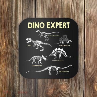 Dino Expert Future Paleontologist Dinosaur Fossil Bones Coaster