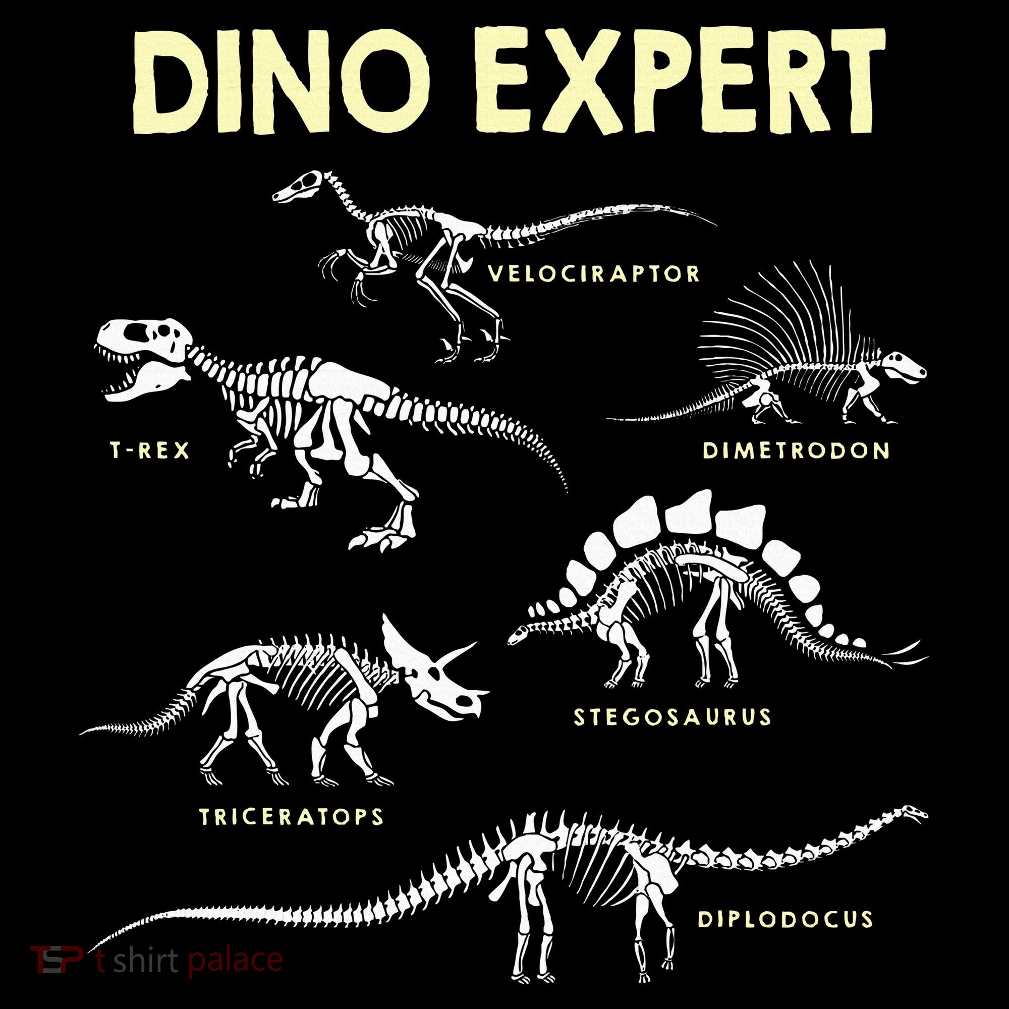 Dino Expert Future Paleontologist Dinosaur Fossil Bones Women's Hoodie