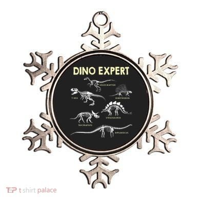 Dino Expert Future Paleontologist Dinosaur Fossil Bones Ornament