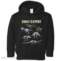 Dino Expert Future Paleontologist Dinosaur Fossil Bones Toddler Hoodie thumb 0