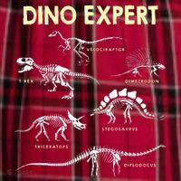 Dino Expert Future Paleontologist Dinosaur Fossil Bones Women's Flannel Plaid Pajama Pants thumb 2