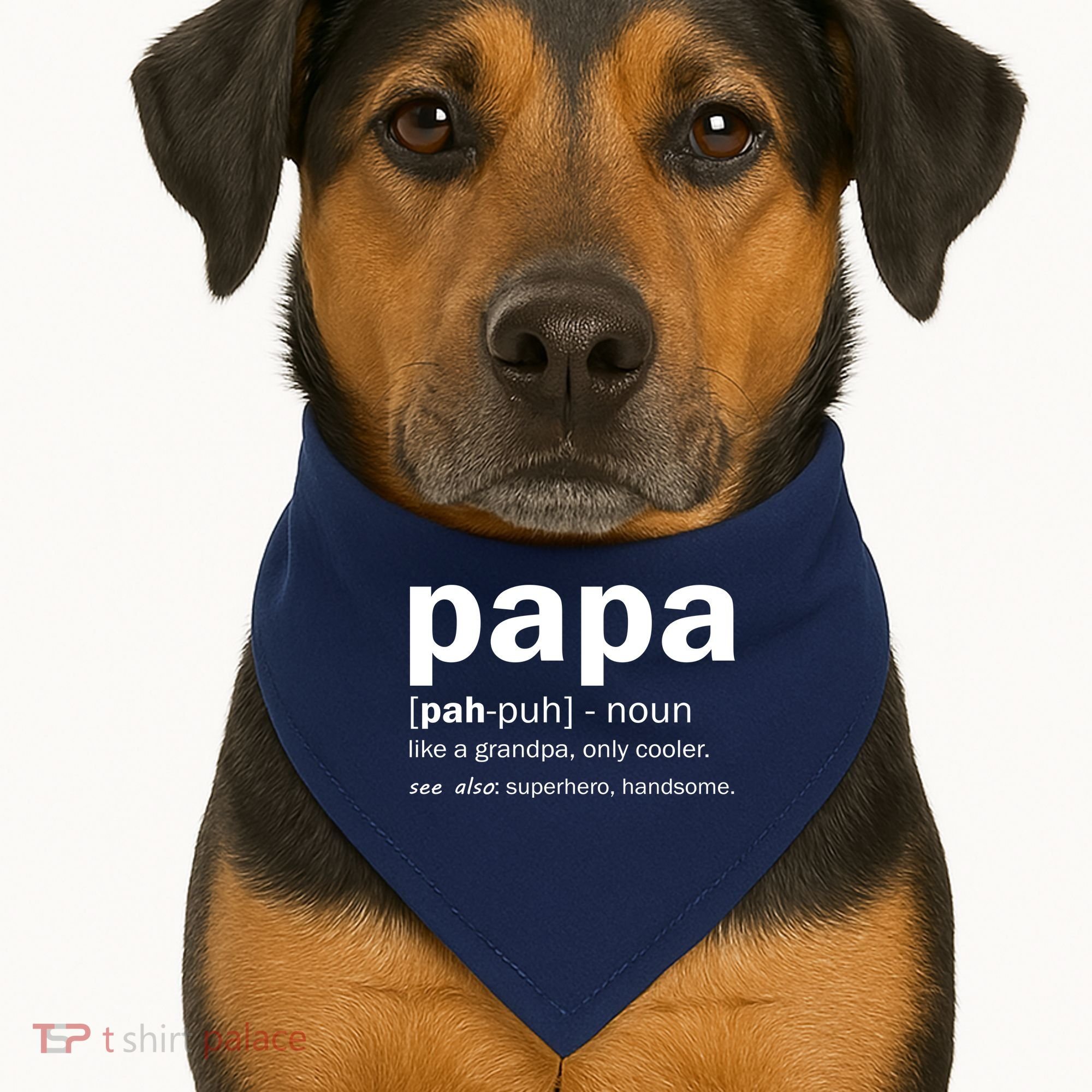 Definition Of A Papa USA-Made Doggie Bandana