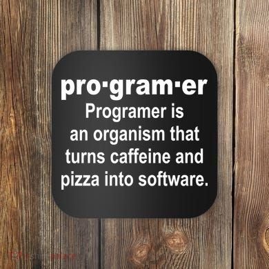 Definition of A Programmer Coaster
