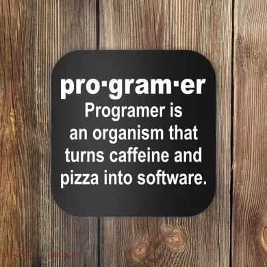 Definition of A Programmer Coaster