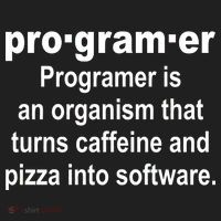 Definition of A Programmer Tumbler thumb 3