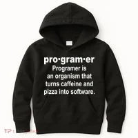 Definition of A Programmer Kids Hoodie thumb 0