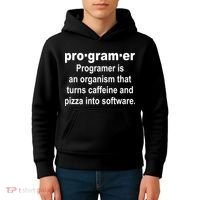 Definition of A Programmer Kids Hoodie thumb 4