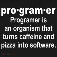 Definition of A Programmer Kids Hoodie thumb 5