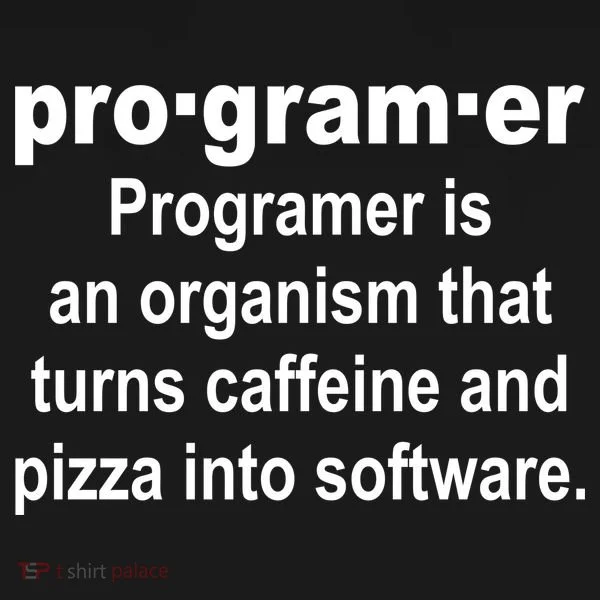 Definition of A Programmer Kids Hoodie