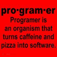 Definition of A Programmer Santa Hat thumb 1