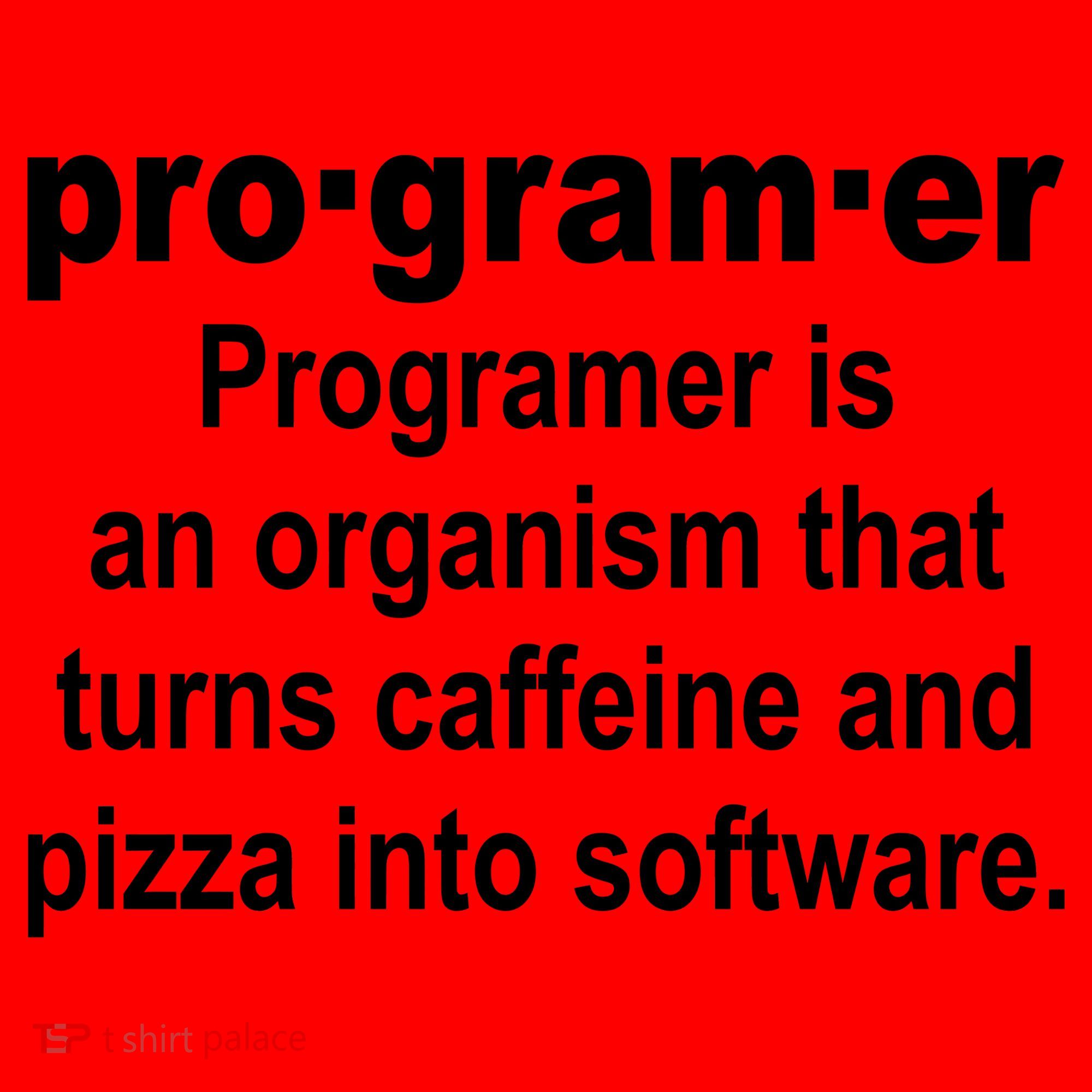 Definition of A Programmer Santa Hat