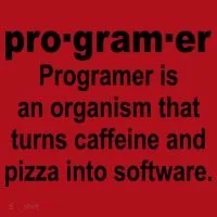 Definition of A Programmer Christmas Stocking thumb 1