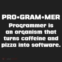 Definition of A Programmer Funny Coffee Tumbler thumb 3