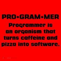 Definition of A Programmer Funny Coffee Santa Hat thumb 1
