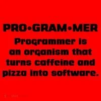 Definition of A Programmer Funny Coffee Santa Hat thumb 1