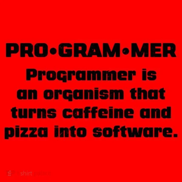Definition of A Programmer Funny Coffee Santa Hat