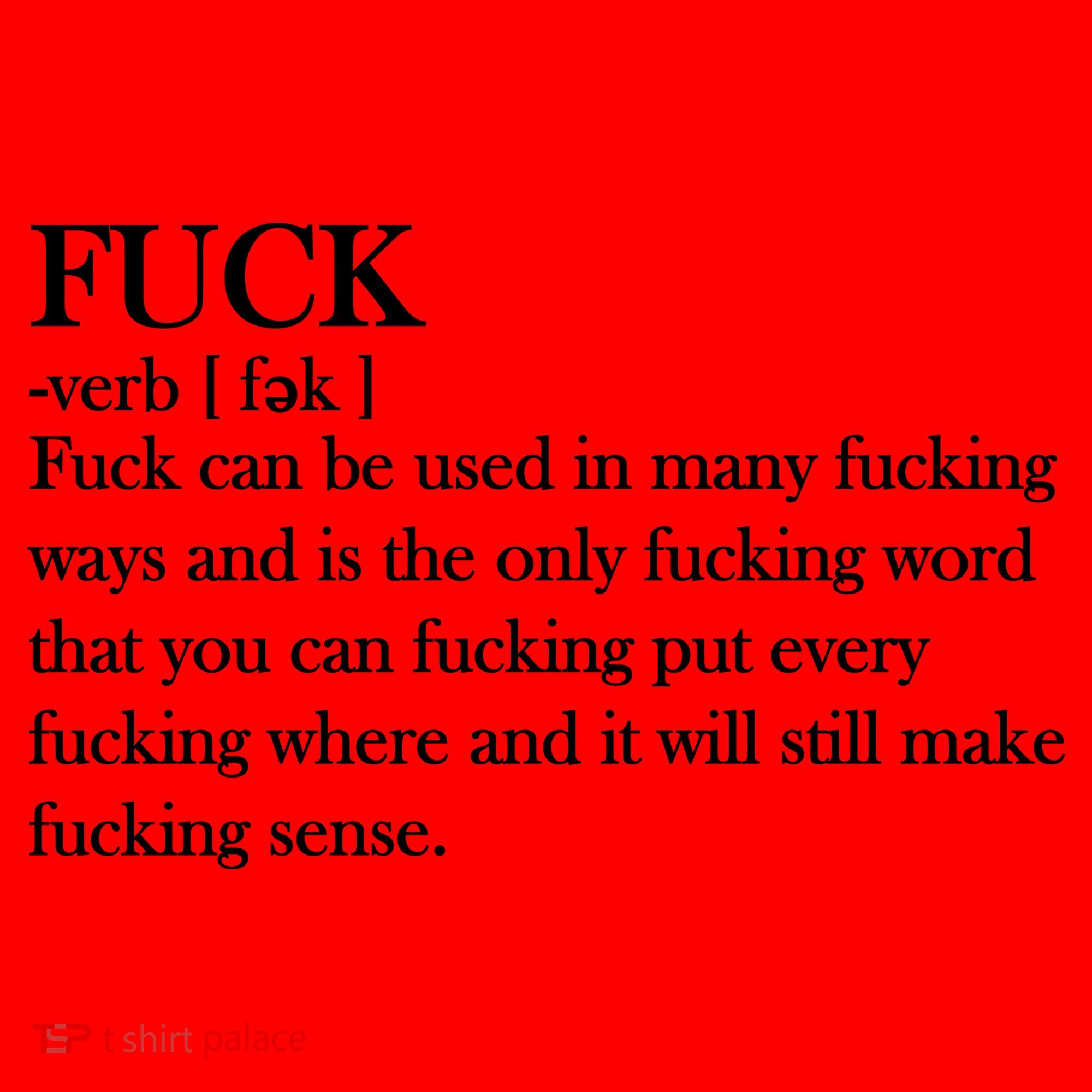 Definition Of F*ck Santa Hat