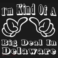 Delaware Big Deal Bucket Hat thumb 4