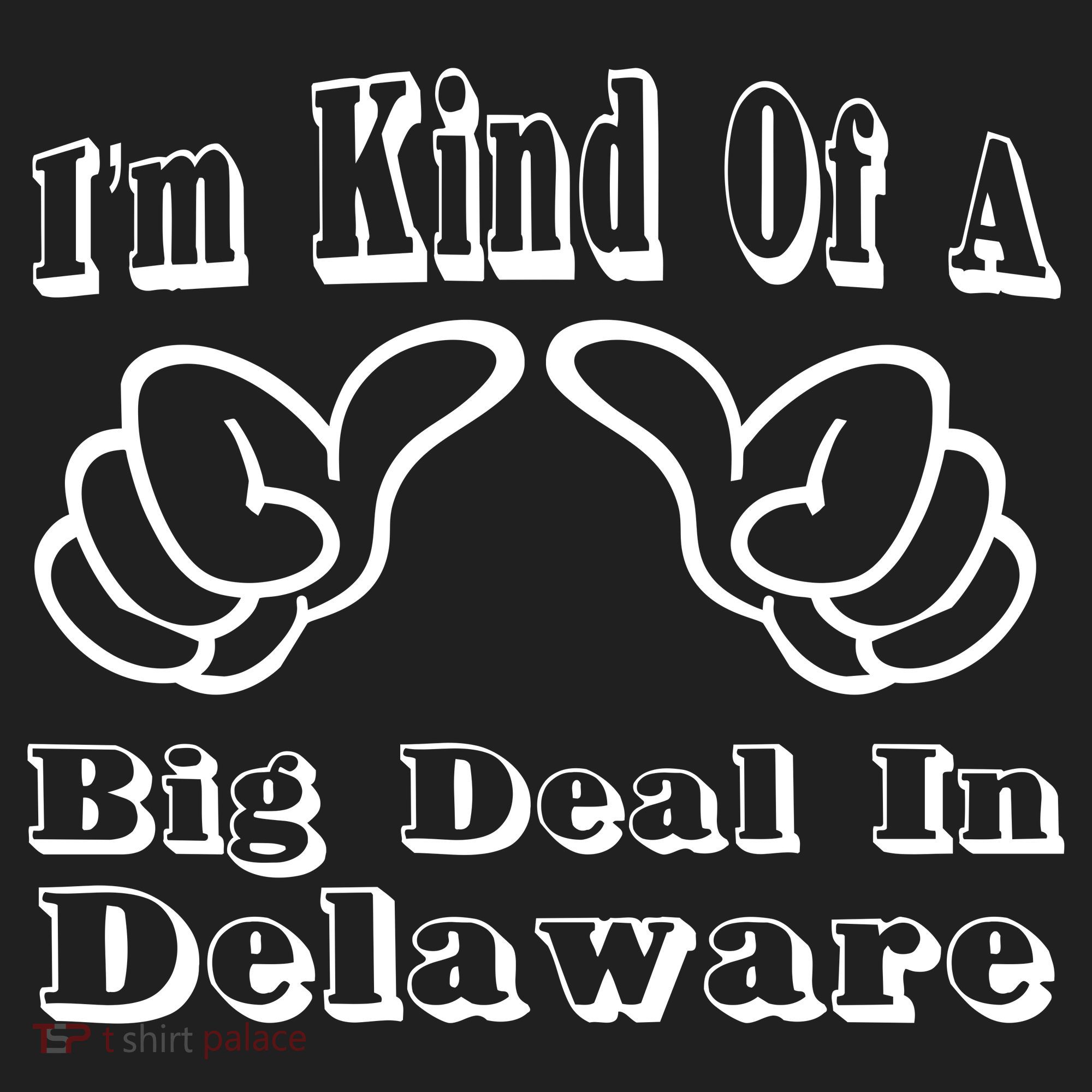 Delaware Big Deal Beanie